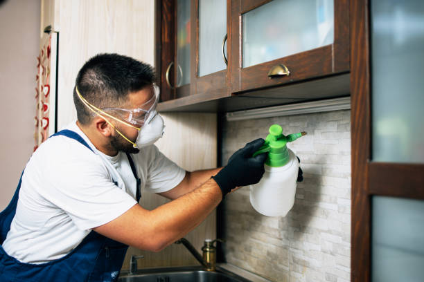 Best Emergency Pest Control  in Cresson, TX