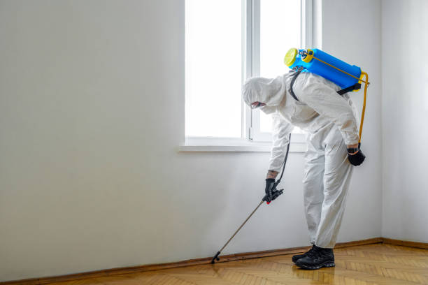 Best Residential Pest Control  in Cresson, TX