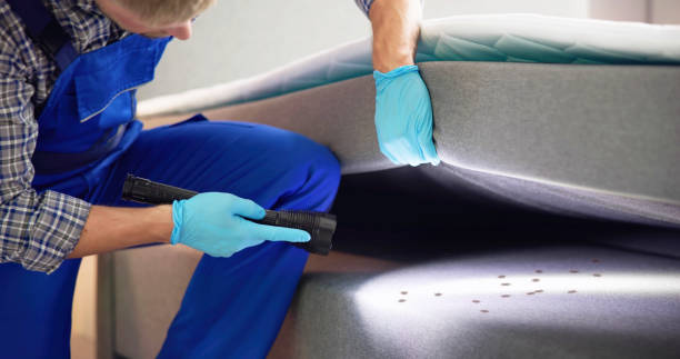 Best Affordable Exterminators  in Cresson, TX