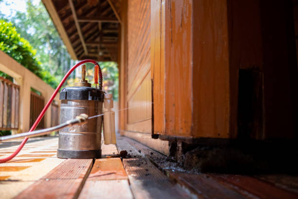 Best Ant Control Services  in Cresson, TX