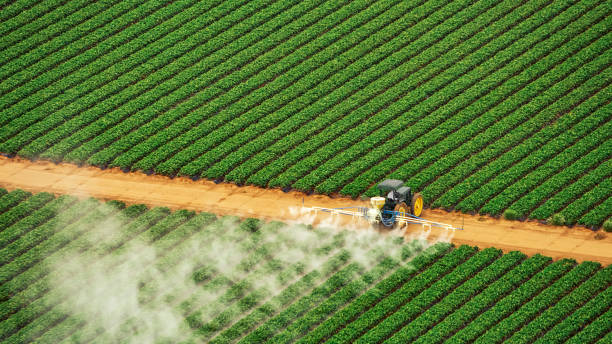 Pest Prevention Services in Cresson, TX