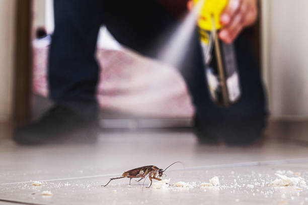 Cresson, TX Pest Control Company